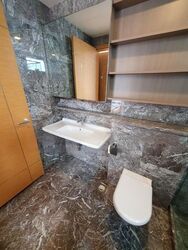Suites @ Cairnhill (D9), Apartment #468123941